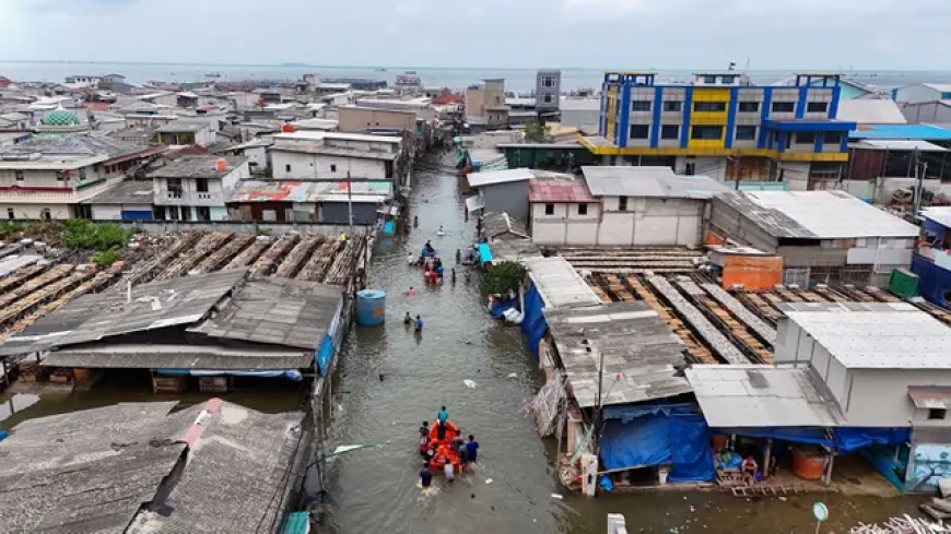Banjir Lagi! Pesisir Jakarta Terendam, 46 RT Kena Dampaknya